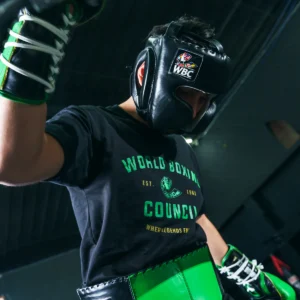 Boxing Sparring Headgear - Image 4