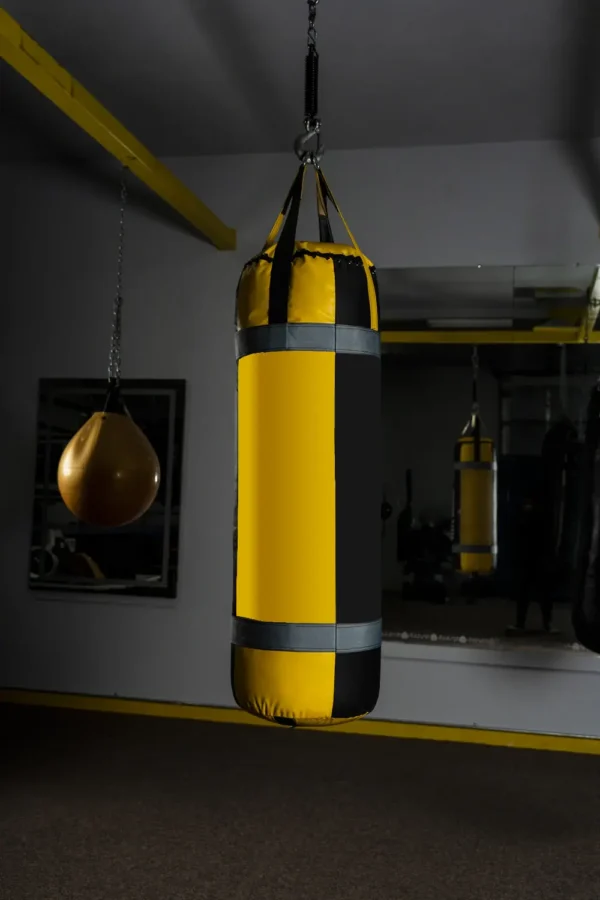 Boxing Greatest Heavy Bags Ever