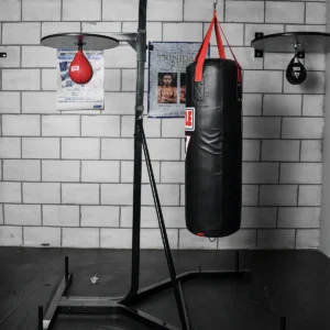 Boxing Heavy Bag & Speed Bag Training Bundle