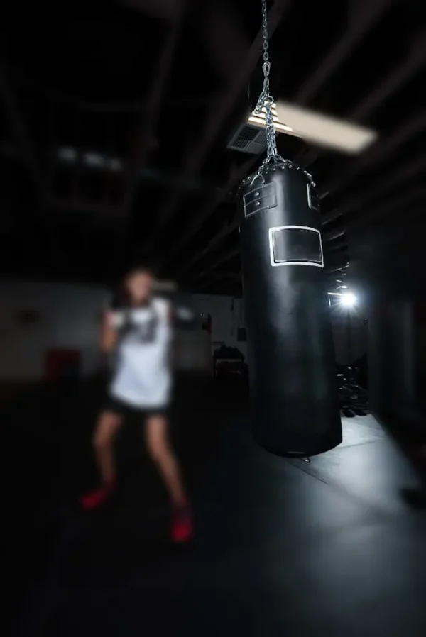 Boxing Professional Synthetic Leather Heavy Bag