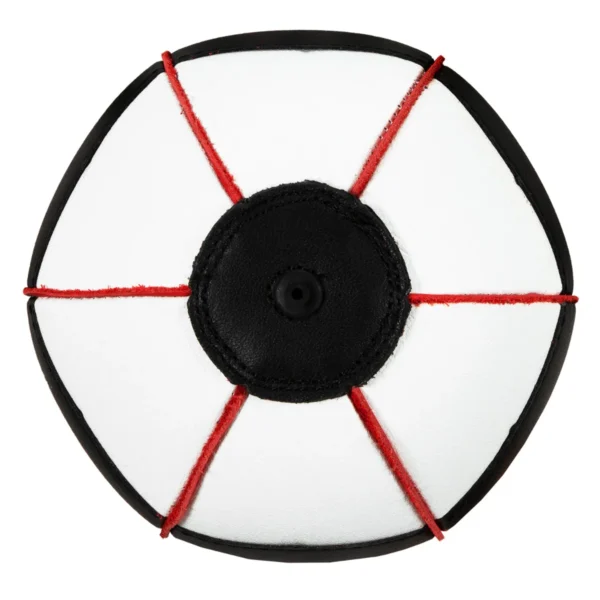 Lightning Fast Speed Bag