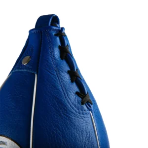 Professional Speed Bag